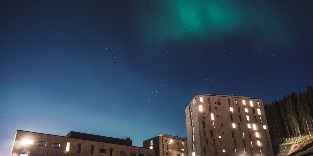 Norges arktiske studentsamskipnad og deres studentboliger i Dramsvegen kan stå tomme til høsten. Studentsamskipnadene frykter konsekvensene koronaviruset kan få for deres virksomhet. Norges arktiske studentsamskipnad og deres studentboliger i Dramsvegen kan stå tomme til høsten. Studentsamskipnadene frykter konsekvensene koronaviruset kan få for deres virksomhet.