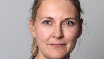 Professor Katrine V. Løken ved NHH er en av initiativtakerne. Professor Katrine V. Løken ved NHH er en av initiativtakerne.