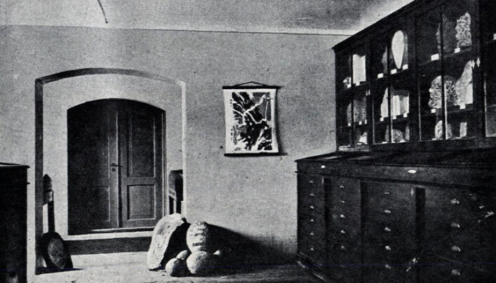Utstilling av bergarter, mineraler og fossiler i kjelleren på Bergens Museum
1890; resultatet av Thomassens ryddejobb i de kaotiske geologiske samlingene.
Bildet er hentet fra jubileumsboka til Bergens Museum fra 1925. Utstilling av bergarter, mineraler og fossiler i kjelleren på Bergens Museum
1890; resultatet av Thomassens ryddejobb i de kaotiske geologiske samlingene.
Bildet er hentet fra jubileumsboka til Bergens Museum fra 1925.