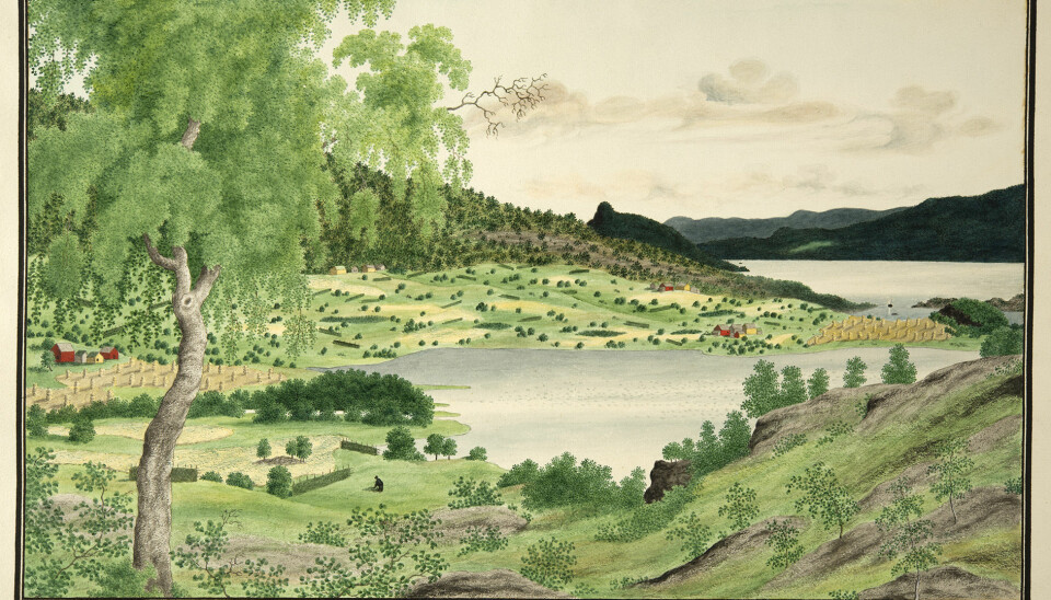 «Samland i Hardanger». Akvarell av Catherine Hermine Kølle, u.år. Akvarellen
tilhører Universitetsmuseet i Bergen.