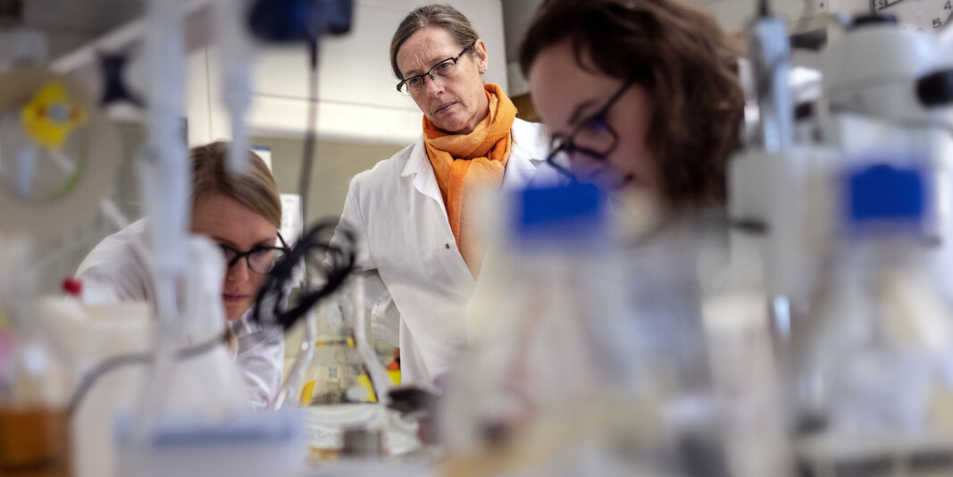 Det har kommet inn søknader både fra universitetene, helseforetakene og instituttene. Også næringslivet er koblet på noen av søknadene. Det har kommet inn søknader både fra universitetene, helseforetakene og instituttene. Også næringslivet er koblet på noen av søknadene.