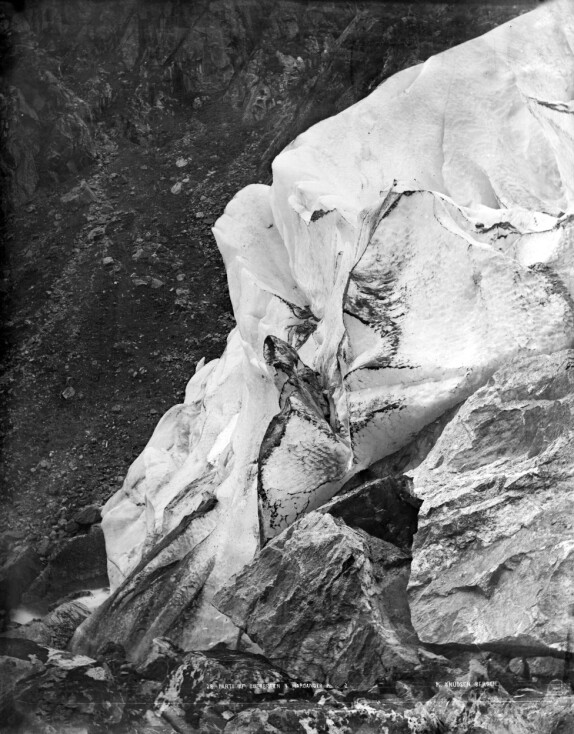 Brestudie fra Buarbreen i Hardanger. Brestudie fra Buarbreen i Hardanger.