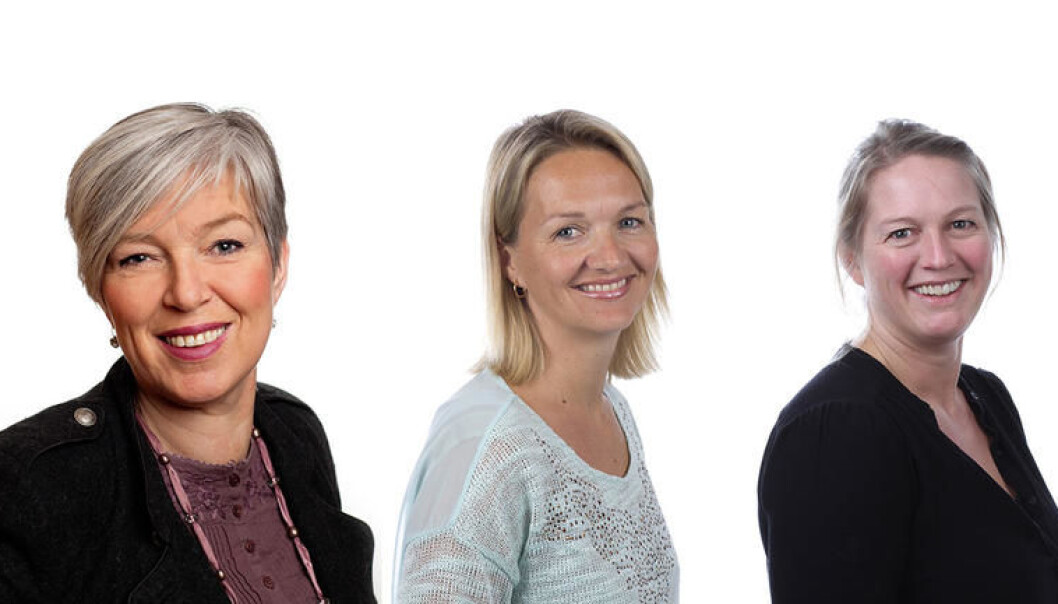 Nye toppledere ved USN, f.v: Gro Bratsberg, Pia Bing-Jonsson og Vibeke Bredahl. Nye toppledere ved USN, f.v: Gro Bratsberg, Pia Bing-Jonsson og Vibeke Bredahl.