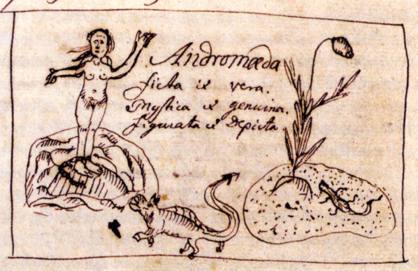 Linnés berømte tegning av Kvitlyng (Andromeda polifolia) fra reisedagboken «Iter Lapponicum», der han i sin ekstatiske naturglede koblet Kvitlyngen til sagnet om Andromeda, som var lenket til en klippe for å bli spist av et sjøuhyre, men ble reddet av Persevs (eller Linné?).