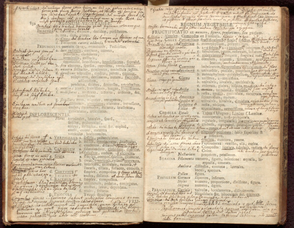 En velbrukt utgave av bind 2 av «Systema Naturae» fra 1759, med notater og spennende marginalia av den bergensfødte botanikeren Martin Vahl. En velbrukt utgave av bind 2 av «Systema Naturae» fra 1759, med notater og spennende marginalia av den bergensfødte botanikeren Martin Vahl.