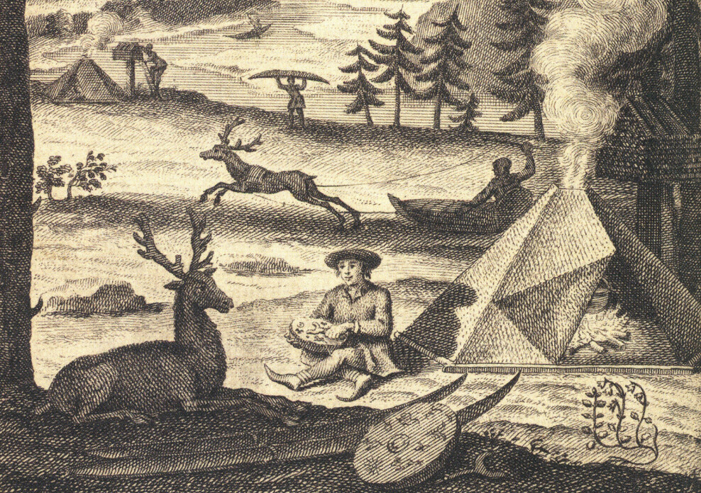 Illustrasjon fra tittelbladet i «Flora Lapponica» fra 1737. Den unge oppdagelsesreisende Linné i Lappland, ikke uventet med Linnea borealis nede til høyre.