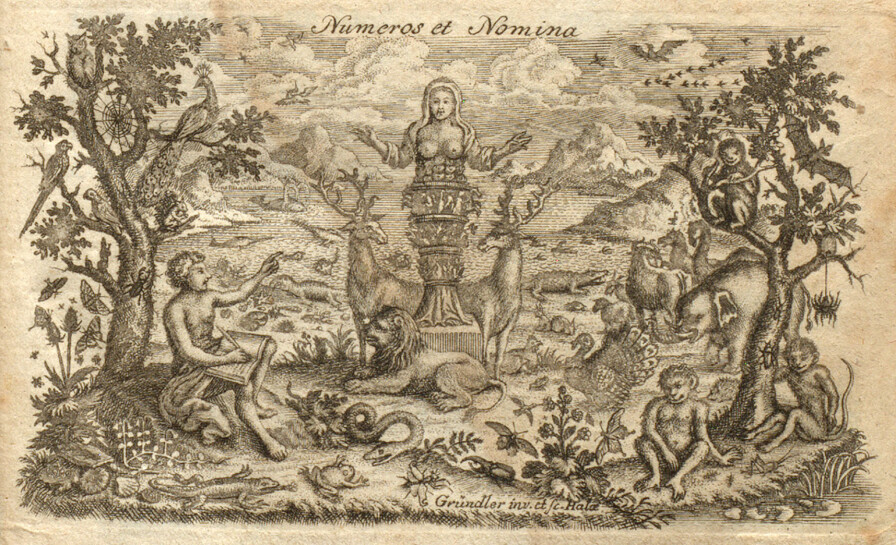 «Numeros et nomina» - «tellet og navngitt»; Linné i full sving med å klassifisere klodens flora og fauna. Fra tittelbladet i en 1760-utgave av «Systema Naturae», utgitt i Magdeburg. «Numeros et nomina» - «tellet og navngitt»; Linné i full sving med å klassifisere klodens flora og fauna. Fra tittelbladet i en 1760-utgave av «Systema Naturae», utgitt i Magdeburg.