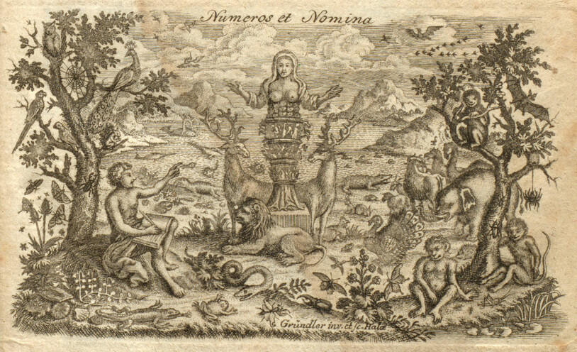 «Numeros et nomina» - «tellet og navngitt»; Linné i full sving med å klassifisere klodens flora og fauna. Fra tittelbladet i en 1760-utgave av «Systema Naturae», utgitt i Magdeburg.