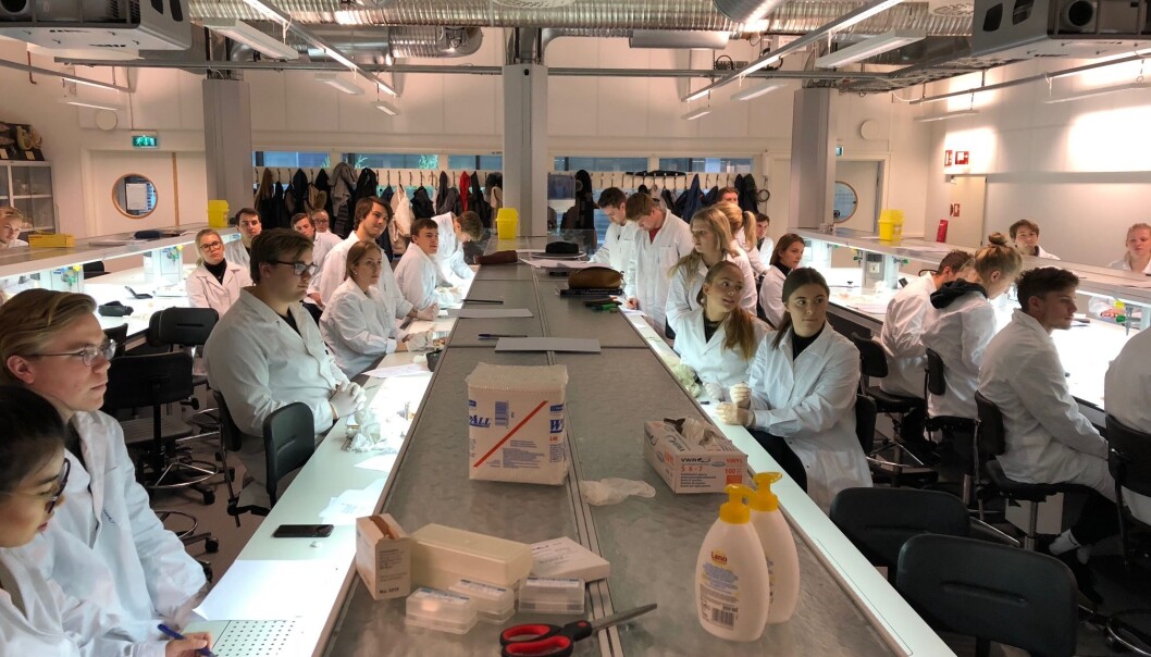 Hvilke studenter er ansettbare, undrer artikkelforfatteren. Her er fiskehelsestudenter på bioCEED, et senter for fremragende utdanning, lokalisert ved Universitetet i Bergen. Hvilke studenter er ansettbare, undrer artikkelforfatteren. Her er fiskehelsestudenter på bioCEED, et senter for fremragende utdanning, lokalisert ved Universitetet i Bergen.