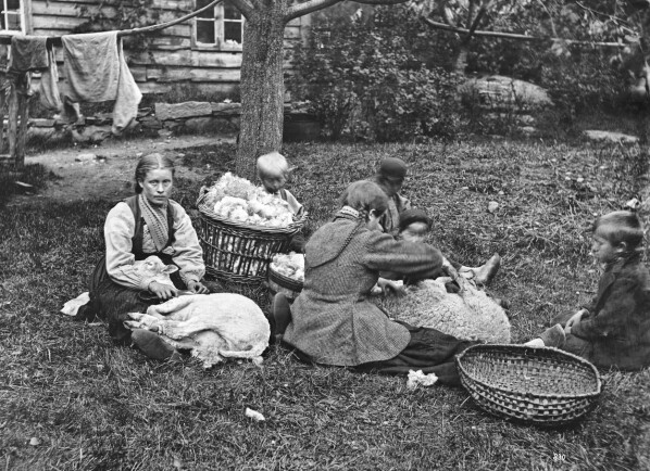 «Parti fra Hardanger (Faareklipning)», fotografert på garden Tokheim i 1872. Ubb-kk-1318-0830. «Parti fra Hardanger (Faareklipning)», fotografert på garden Tokheim i 1872. Ubb-kk-1318-0830.