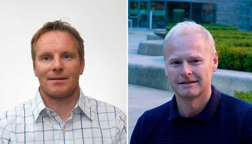 Per-Ludvik Kjendlie blir ny dekan for Fakultet for humaniora, idretts- og utdanningsfag, mens Thomas Slagsvold er ansatt som forskningsadministrativ direktør. Per-Ludvik Kjendlie blir ny dekan for Fakultet for humaniora, idretts- og utdanningsfag, mens Thomas Slagsvold er ansatt som forskningsadministrativ direktør.