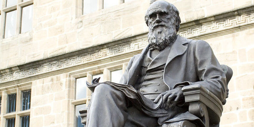 Charles Darwin vart svært viktig for biologane som kom etter han. Men ikkje er samde i hans evolusjonsteori som forklarar korleis artar har utvikla seg. Charles Darwin vart svært viktig for biologane som kom etter han. Men ikkje er samde i hans evolusjonsteori som forklarar korleis artar har utvikla seg.