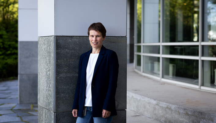 Linda Nøstbakken fra SSB går inn i det nye styret. Hun har også erfaring fra NHH. Linda Nøstbakken fra SSB går inn i det nye styret. Hun har også erfaring fra NHH.
