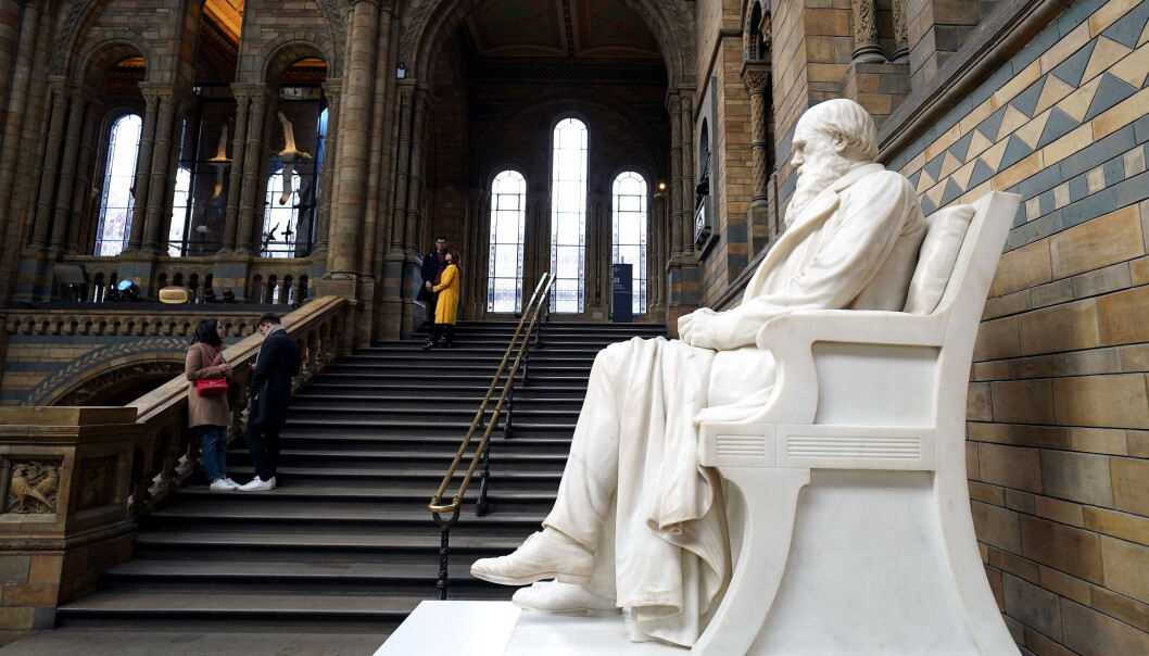 To forskere har fått publisert en artikkel i et fagfellevurdert tidsskrift hvor de stiller spørsmål ved Charles Darwins evolusjonsteori. Førsteamanuensis Morten Mattingsdal er bekymret for at forskerne, som er tilknyttet stiftelsen BioCosmos, vil bruke publiseringen som et salgsargument for å villede unge. Her en statue av Darwin i the British History Museum. To forskere har fått publisert en artikkel i et fagfellevurdert tidsskrift hvor de stiller spørsmål ved Charles Darwins evolusjonsteori. Førsteamanuensis Morten Mattingsdal er bekymret for at forskerne, som er tilknyttet stiftelsen BioCosmos, vil bruke publiseringen som et salgsargument for å villede unge. Her en statue av Darwin i the British History Museum.