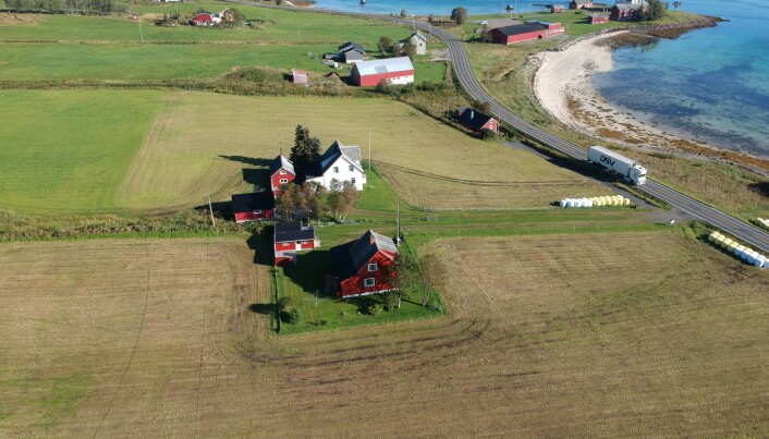Her har det trolig vært full fres med handel og folkeliv under vikingtiden. Her har det trolig vært full fres med handel og folkeliv under vikingtiden.