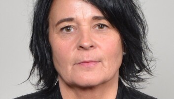 Seksjonssjef Storsveen seier dei har fjerna lenkane til dokumenta på sine nettsider. Seksjonssjef Storsveen seier dei har fjerna lenkane til dokumenta på sine nettsider.