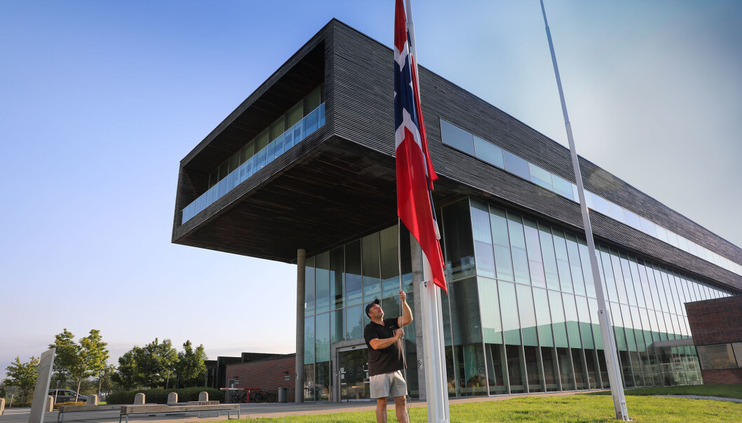 Høgskolen i Østfold får to campus med ulike regler etter at campus i Halden nå kan åpnes for gitt grupper. Fortsatt vil campus være stengt i Fredrikstad. Høgskolen i Østfold får to campus med ulike regler etter at campus i Halden nå kan åpnes for gitt grupper. Fortsatt vil campus være stengt i Fredrikstad.