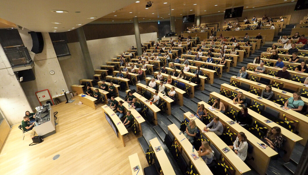 Tettere oppfølging gjennom faglige mentorer, studiekafé og studiestartsprøver har vist seg å være vellykket i Danmark. Bildet er fra årets studiestart ved NTNU . Tettere oppfølging gjennom faglige mentorer, studiekafé og studiestartsprøver har vist seg å være vellykket i Danmark. Bildet er fra årets studiestart ved NTNU .