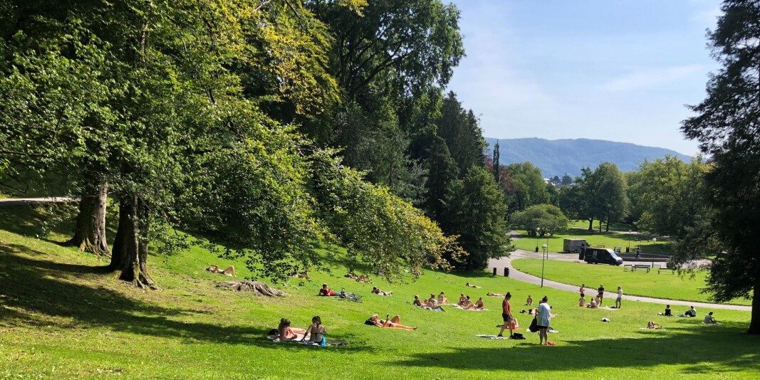 I Nygårdsparken i Bergen koser både nye studenter og fastboende seg i solen onsdag i fadderuken - med god avstand. I Nygårdsparken i Bergen koser både nye studenter og fastboende seg i solen onsdag i fadderuken - med god avstand.