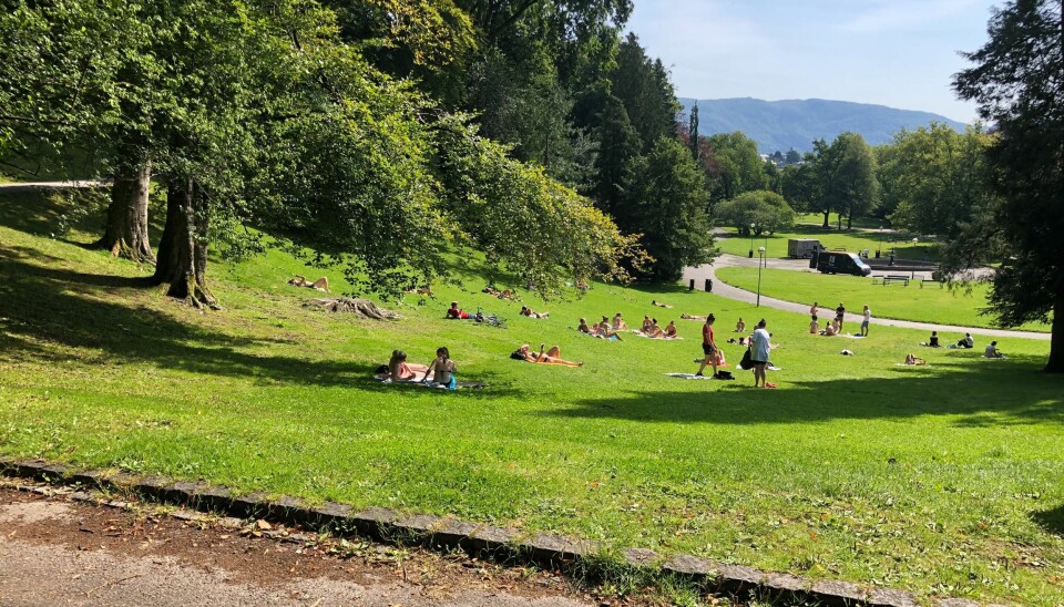 Under fadderuken i Bergen samles flere studenter i Nygårdsparken. Mandag ble flere studenter frastjålet flere eiendeler.