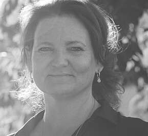 Direktør ved Kunsthøgskolen Annemarie Bechmann Hansen Direktør ved Kunsthøgskolen Annemarie Bechmann Hansen
