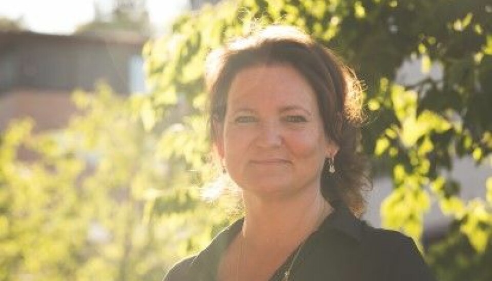 Annemarie Bechmann Hansen har vært direktør ved Kunsthøgskolen i Oslo fire år.