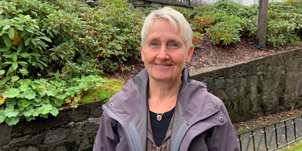 Finansprofessor ved Norges Handelshøyskole, Karin S. Thorburn, er én av få kvinner på lønnstoppen blant landets professorer. Finansprofessor ved Norges Handelshøyskole, Karin S. Thorburn, er én av få kvinner på lønnstoppen blant landets professorer.