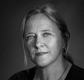 Lise Rakner rettar kritikk mot utdanningsinstitusjonane. Lise Rakner rettar kritikk mot utdanningsinstitusjonane.