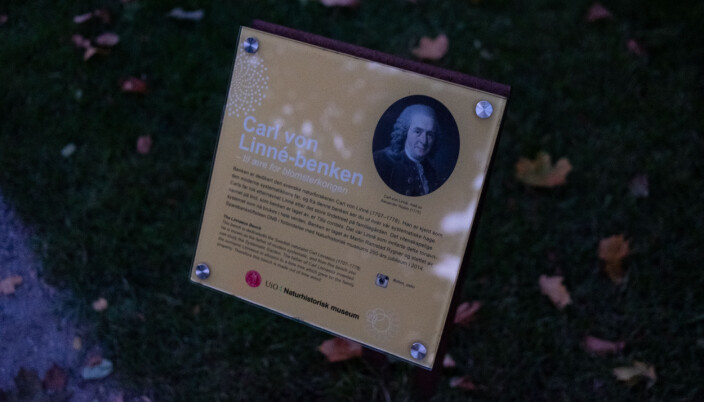 Plaketten ved Linné-benken i Botanisk hage. Plaketten ved Linné-benken i Botanisk hage.