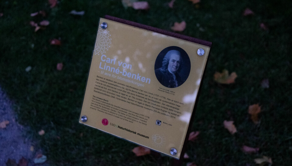 Benk med plakett: Carl con Linné-benken.