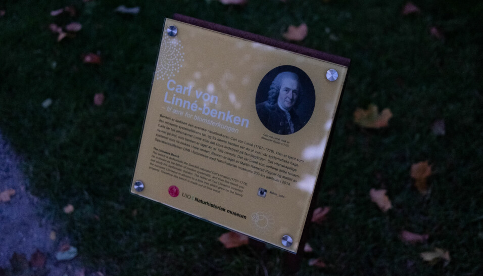 Plaketten ved Linné-benken i Botanisk hage.