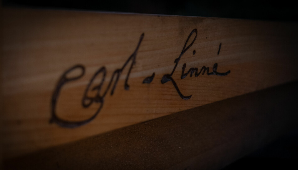 Carl Von Linné har satt sin signatur på benken i Oslo. Blir benken fjernet?