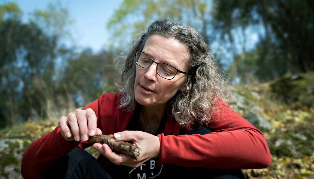 Anne Sverdrup-Thygeson, professor i bevaringsbiologi på Institutt for Naturforvaltning ved NMBU, er blant de som har signert et opprop.
