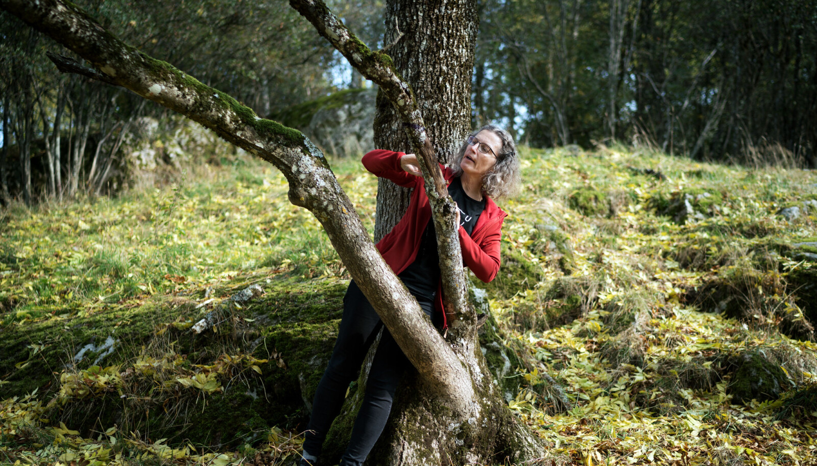 Anne Sverdrup-Thygeson. Professor i bevaringsbiologi på Institutt for Naturforvaltning ved NMBU. Ås. Anne Sverdrup-Thygeson. Professor i bevaringsbiologi på Institutt for Naturforvaltning ved NMBU. Ås.