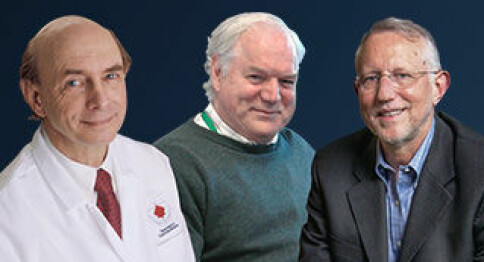 Nobelpris til tre hepatitt-forskere