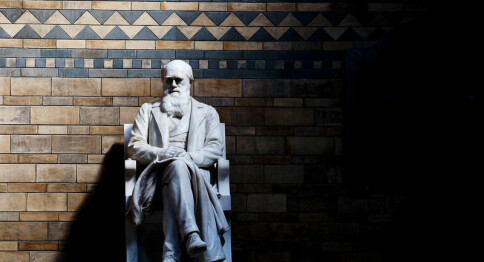 Tidsskrift tar avstand fra Darwin-kritikk