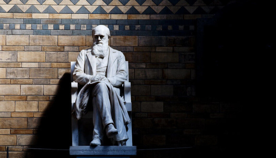Charles Darwin skrev Artenes opprinnelse i 1859. Hans evolusjonsteori er godtatt av de fleste. Charles Darwin skrev Artenes opprinnelse i 1859. Hans evolusjonsteori er godtatt av de fleste.