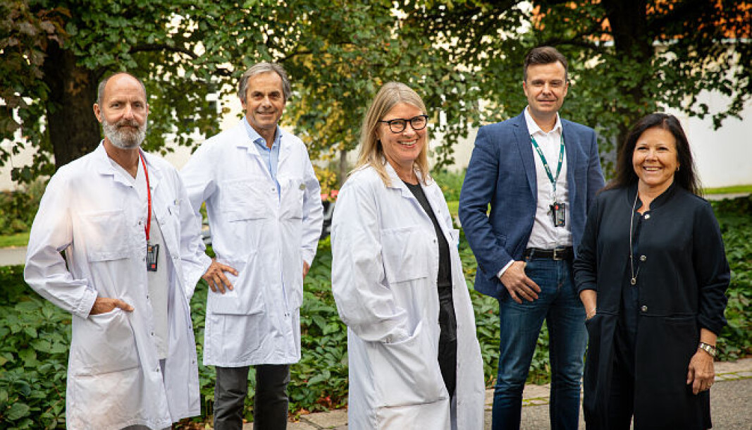 Det nye dekan-teamet: Hans Jacob Rønold (fra v.) som prodekan for studier, Jan Eirik Ellingsen som visedekan for spesialistutdanningen, Tiril Willumsen som dekan, Amer Sehic som visedekan for preklinikk og Janne Reseland som forskningsdekan. Det nye dekan-teamet: Hans Jacob Rønold (fra v.) som prodekan for studier, Jan Eirik Ellingsen som visedekan for spesialistutdanningen, Tiril Willumsen som dekan, Amer Sehic som visedekan for preklinikk og Janne Reseland som forskningsdekan.