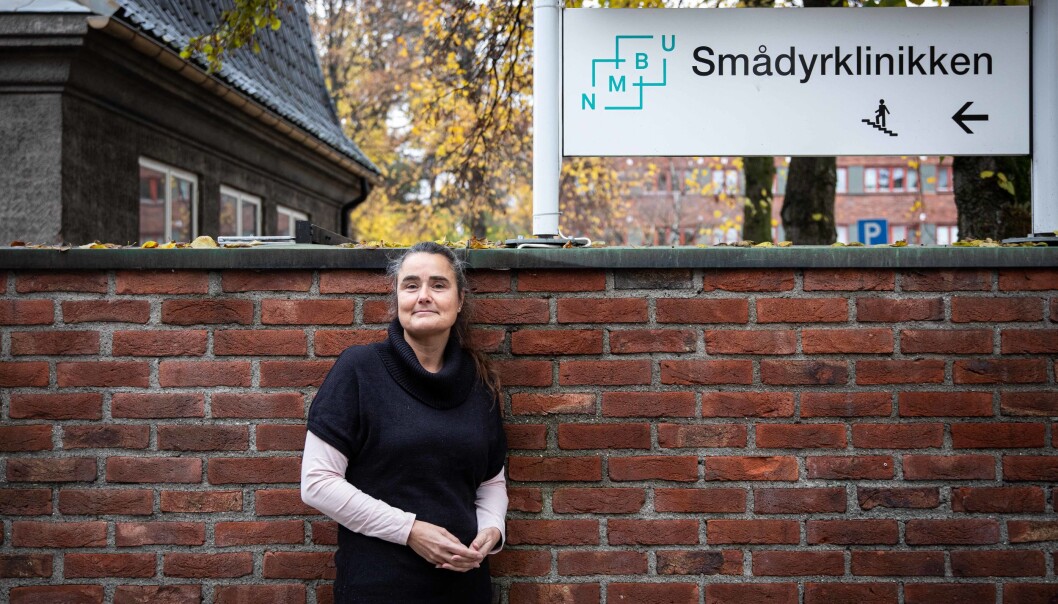 Cecilia Hals har 30 års fartstid på Veterinærhøgskolen og mener at det å flytte før bygget er helt ferdig også vil kunne gi frustrasjoner. Cecilia Hals har 30 års fartstid på Veterinærhøgskolen og mener at det å flytte før bygget er helt ferdig også vil kunne gi frustrasjoner.