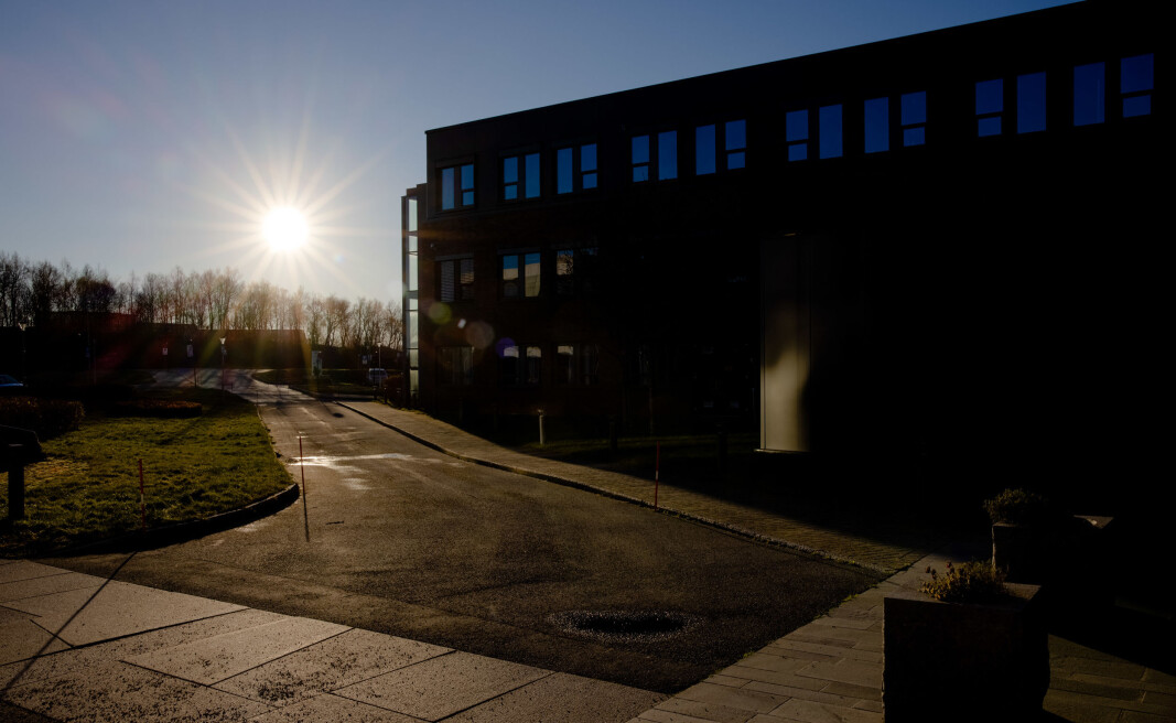 Både administrasjonen og forskarane kan få meir pengar å rutte med i 2021 enn først tenkt ved Nord universitet. Bildet er frå universitetsområdet i Bodø i oktober 2020. Både administrasjonen og forskarane kan få meir pengar å rutte med i 2021 enn først tenkt ved Nord universitet. Bildet er frå universitetsområdet i Bodø i oktober 2020.