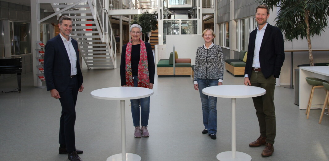 Fire direktører skal det neste halvåret drøfte hvordan de kan samarbeide tettere. Fra venstre Nils Morten Huseby(IFE), Greta Bentzen (NIVA), Kari Nygaard(NILU) og Lars Andresen (NGI). Fire direktører skal det neste halvåret drøfte hvordan de kan samarbeide tettere. Fra venstre Nils Morten Huseby(IFE), Greta Bentzen (NIVA), Kari Nygaard(NILU) og Lars Andresen (NGI).