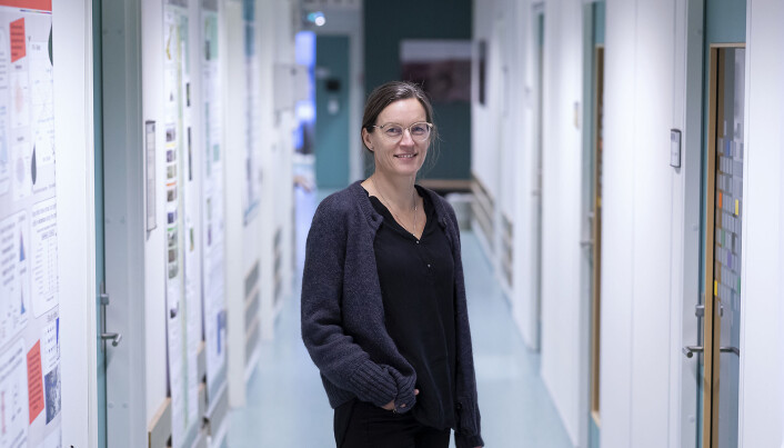 — HF er blant de som har de laveste lønningene blant vitenskapelig ansatte ved UiB. Hagen har hatt ansvar for lønnsutviklingen, sier professor Vigdis Vandvik ved UiB. — HF er blant de som har de laveste lønningene blant vitenskapelig ansatte ved UiB. Hagen har hatt ansvar for lønnsutviklingen, sier professor Vigdis Vandvik ved UiB.