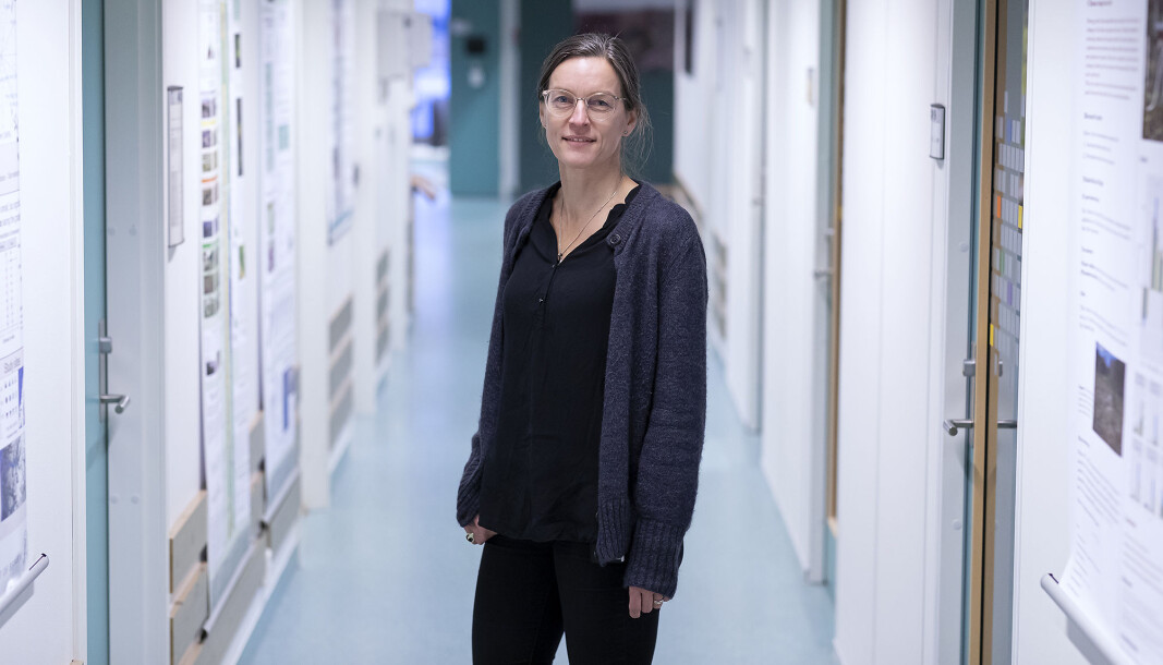 — Jeg tenker på det store flertallet av oss som må gå inn i jula med en knust drøm. Vi trenger å reise oss, lære av det som har skjedd, og prøve igjen. Noen av oss trenger kanskje litt tid på det. De kunne fått startet på den prosessen i høst, og kanskje vært klare til februar, sier professor Vigdis Vandvik. — Jeg tenker på det store flertallet av oss som må gå inn i jula med en knust drøm. Vi trenger å reise oss, lære av det som har skjedd, og prøve igjen. Noen av oss trenger kanskje litt tid på det. De kunne fått startet på den prosessen i høst, og kanskje vært klare til februar, sier professor Vigdis Vandvik.
