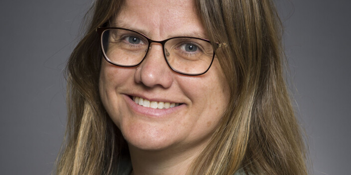 Heidi Sandaker, professor i partikkelfysikk. Heidi Sandaker, professor i partikkelfysikk.