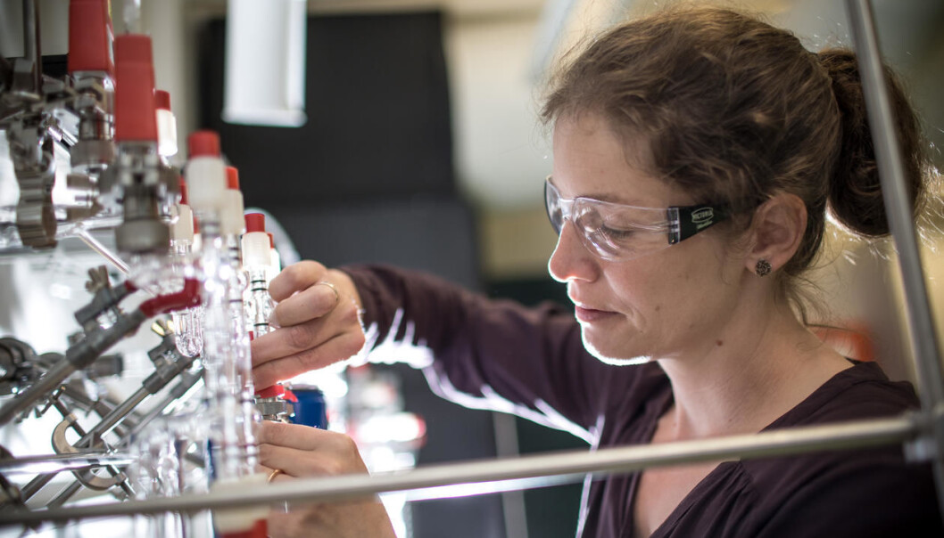 Nele Meckler fra Institutt for geovitenskap og Bjerknessenteret ved Universitetet i Bergen er en av fem norske kvinner som nå får mange millioner fra EU-systemet. Nele Meckler fra Institutt for geovitenskap og Bjerknessenteret ved Universitetet i Bergen er en av fem norske kvinner som nå får mange millioner fra EU-systemet.