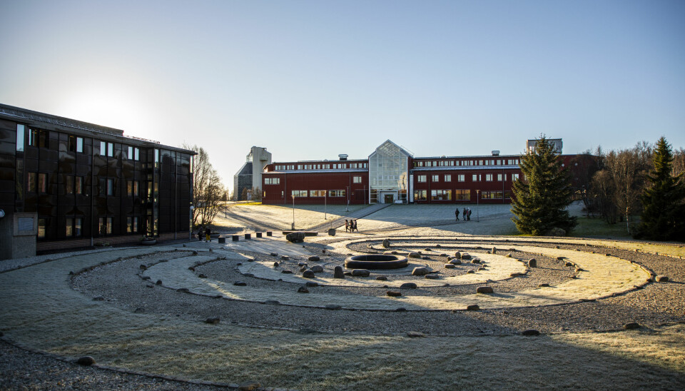 Det blir verande tomt på campus dei fyrste to vekene av vårsemesteret, bestemde regjeringa laurdag. Her frå UiTs campus i Tromsø. .