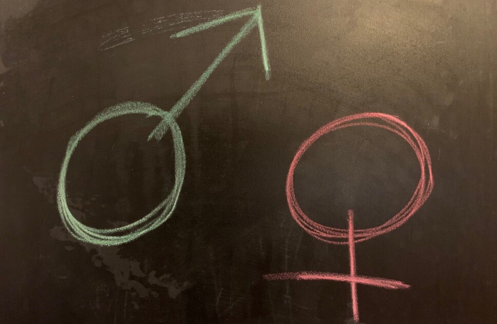 Men uansett, hvordan kunne det ha seg at 12 av 13 stillinger gikk til mannlige søkere? Har de kvinnelige søkerne plutselig blitt mye mindre kompetente?, spør Agnes Andenæs.