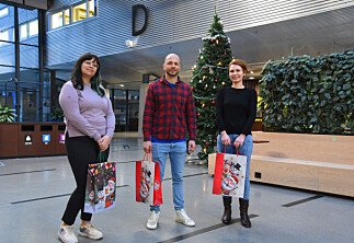 Flere må feire jul i Norge for første gang