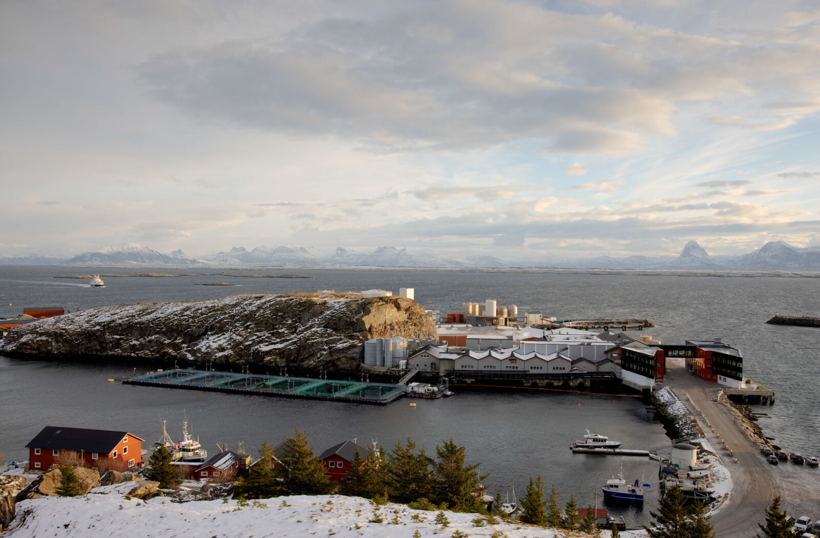 Då dei to lærarane Steinar Olaisen og Hans Petter Meland flytta heim til Lovund på Helgeland tidleg på 1970-talet, låg fiskeria nede, og folketalet var på sitt lågaste. I dag har Lovund 500 innbyggar og er sentrum for eit lakseimperium med anlegg langs heile nordlandskysten. I tillegg til to lakseoppdrettsselskap, held fleire andre marine bedrifter til på øya. Då dei to lærarane Steinar Olaisen og Hans Petter Meland flytta heim til Lovund på Helgeland tidleg på 1970-talet, låg fiskeria nede, og folketalet var på sitt lågaste. I dag har Lovund 500 innbyggar og er sentrum for eit lakseimperium med anlegg langs heile nordlandskysten. I tillegg til to lakseoppdrettsselskap, held fleire andre marine bedrifter til på øya.