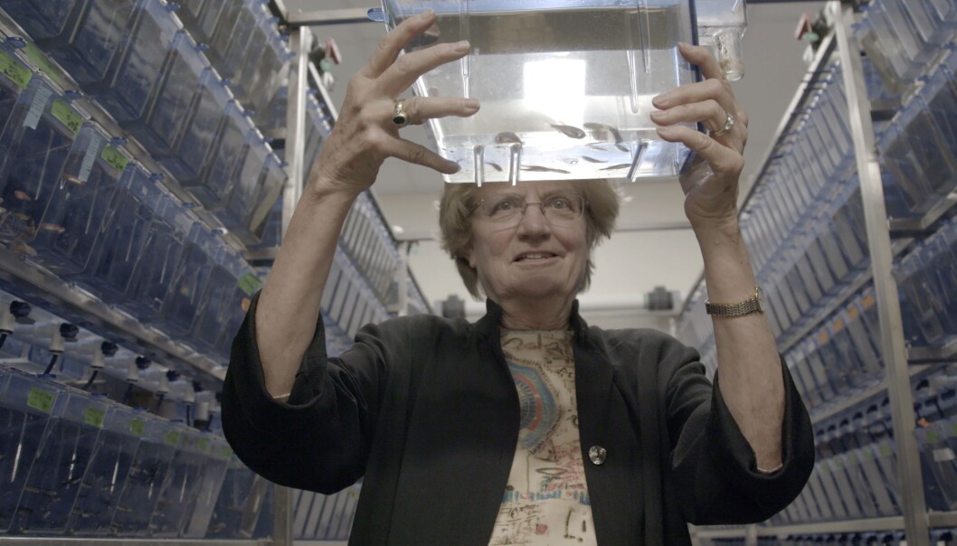 Professor Nancy Hopkins var den som tok tak i likestilling i akademia i USA på 1990-talet. Professor Nancy Hopkins var den som tok tak i likestilling i akademia i USA på 1990-talet.